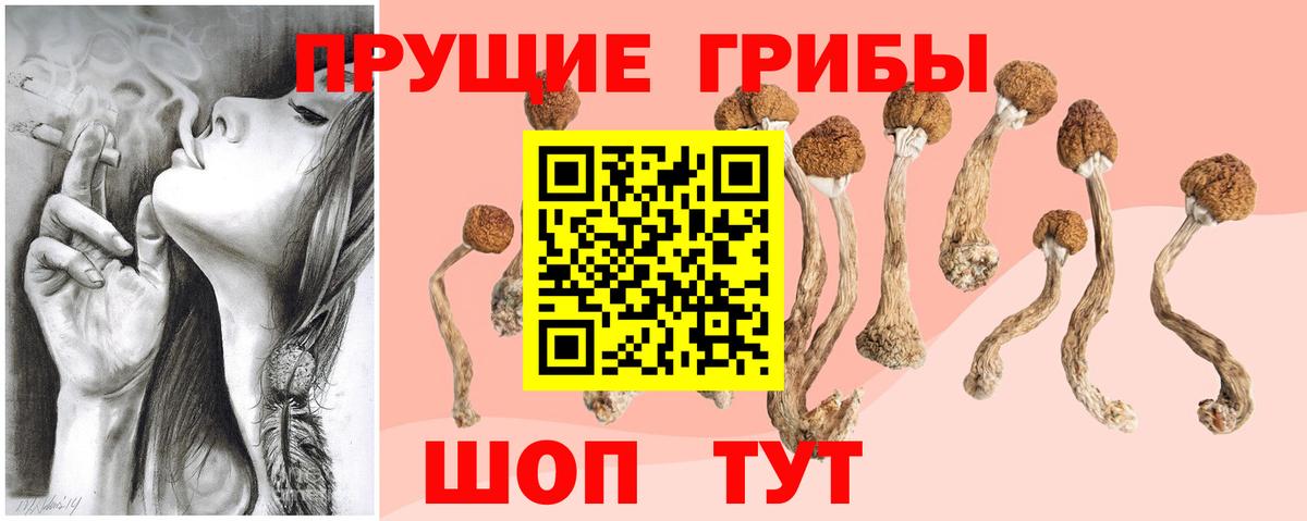 Галлюциногенные грибы Magic Shrooms Янаул